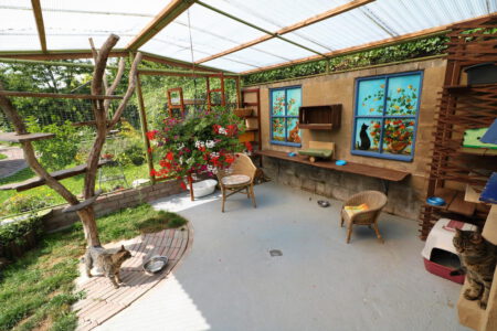 Kattenpension Snorrebaard