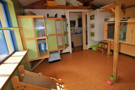 Kattenpension Snorrebaard